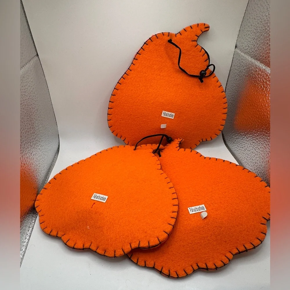 Pier 1 large felt